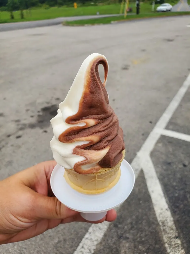 Twisted Baby Cone